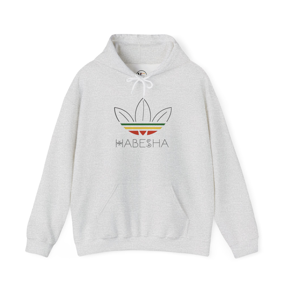 Habesha Unisex Heavy Blend™ Hooded Sweatshirt - Cozy Fashion for Celebrations, Everyday Comfort, Unique Gift, Stylish Layering, Unisex [...] - Image 5