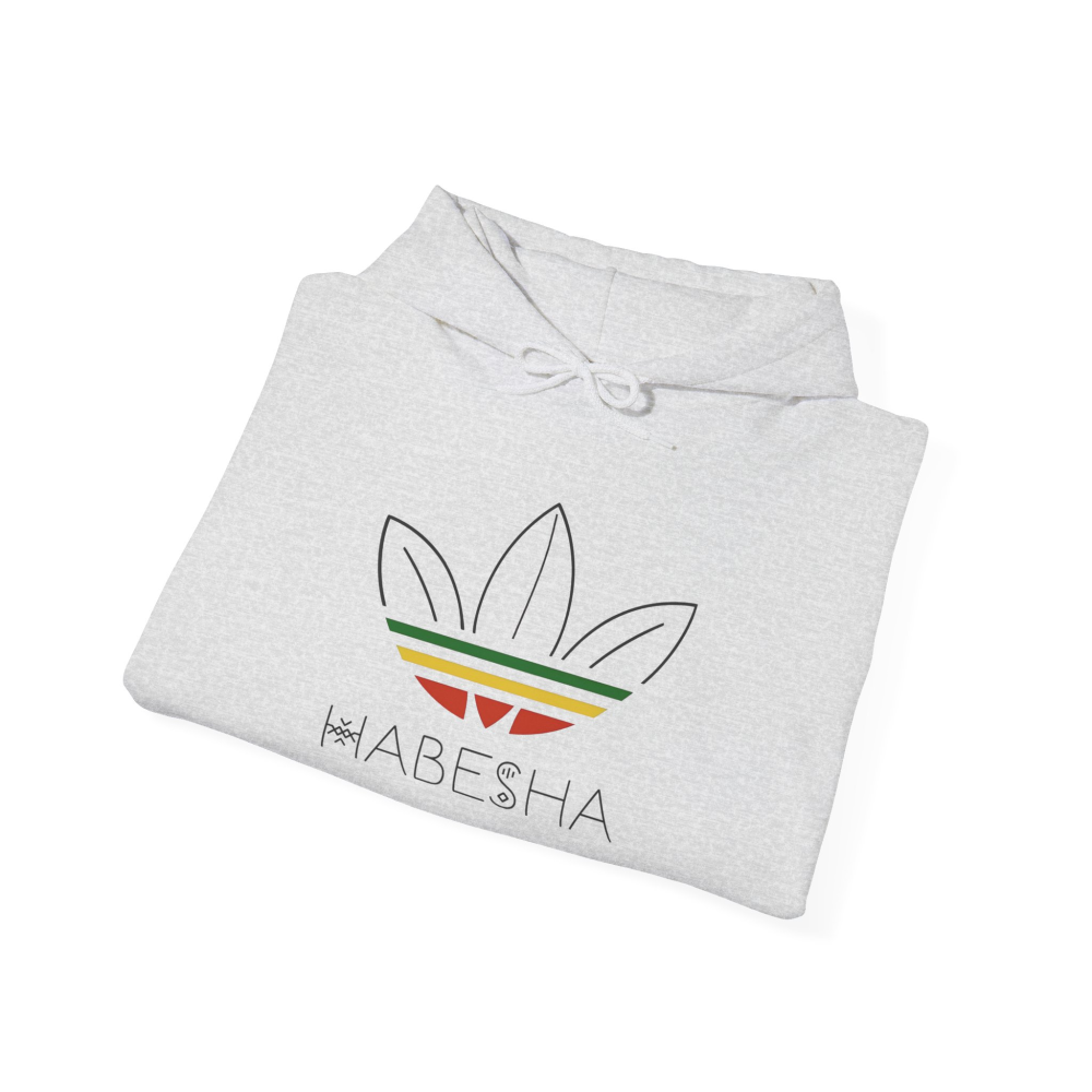 Habesha Unisex Heavy Blend™ Hooded Sweatshirt - Cozy Fashion for Celebrations, Everyday Comfort, Unique Gift, Stylish Layering, Unisex [...] - Image 8
