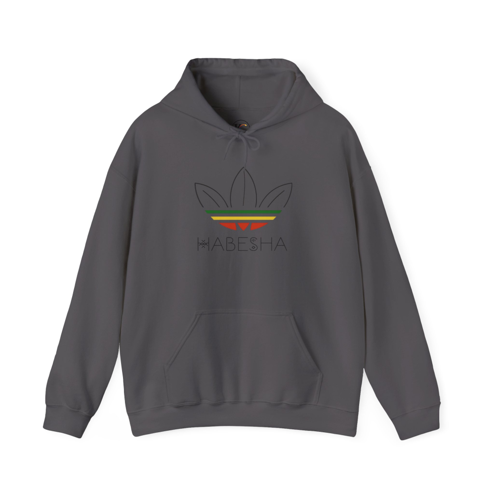 Habesha Unisex Heavy Blend™ Hooded Sweatshirt - Cozy Fashion for Celebrations, Everyday Comfort, Unique Gift, Stylish Layering, Unisex [...] - Image 29