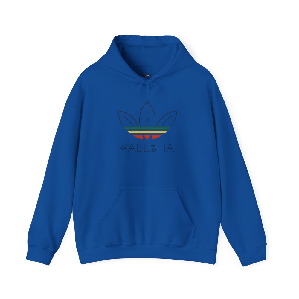 Habesha Unisex Heavy Blend™ Hooded Sweatshirt - Cozy Fashion for Celebrations, Everyday Comfort, Unique Gift, Stylish Layering, Unisex [...] - Image 33